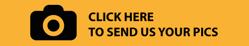 send-your-pics